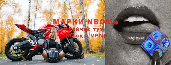 дмт Каменногорск