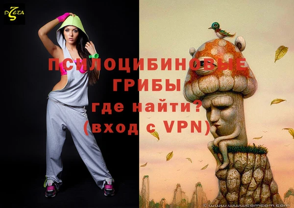 дмт Каменногорск