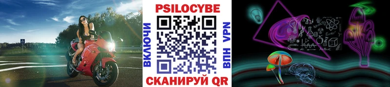 Купить где  Комсомольск  Псилоцибиновые грибы Psilocybine cubensis 