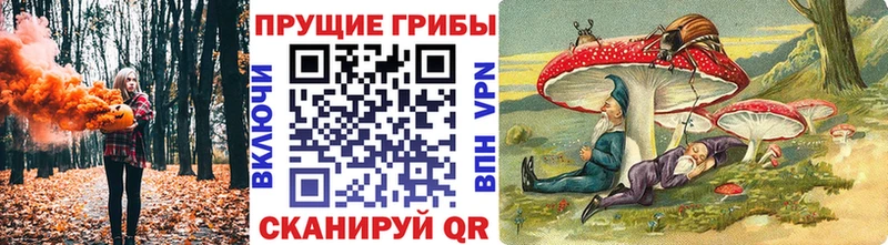 Псилоцибиновые грибы Magic Shrooms Комсомольск
